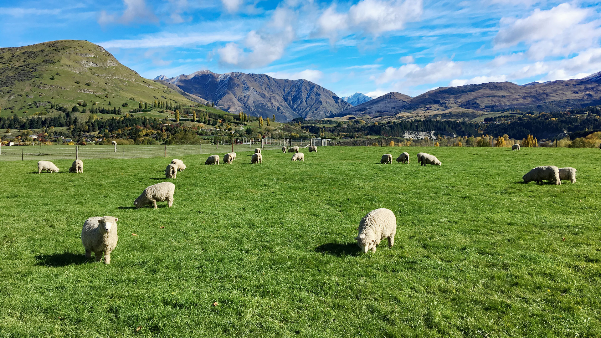 Tanken Tours タンケンツアーズ 商品ラインナップ Tanken Tours ニュージーランド南島クイーンズタウンのガイド会社